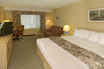 Holiday Inn Select - Chambre  standard, lit 'king size'